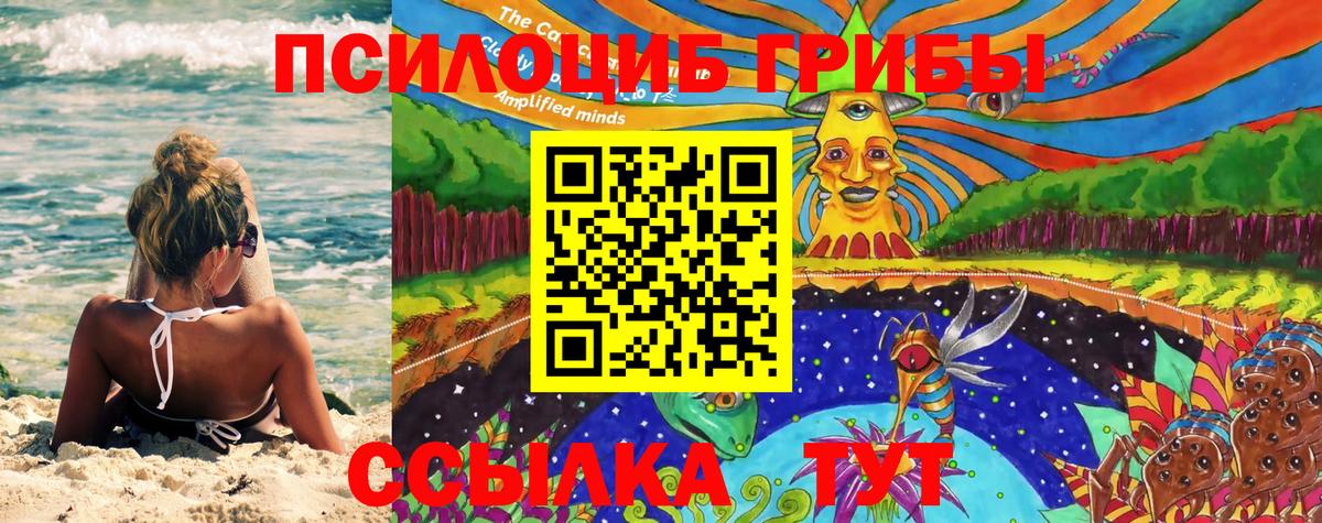 Псилоцибиновые грибы Psilocybe Казань