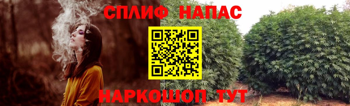 Конопля гибрид Казань
